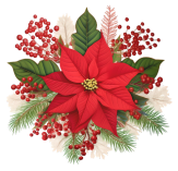 Christmas flower